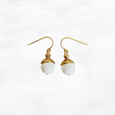 Gold Tridacna Earrings